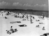 View of people at the beach - Saint Petersburg, Florida.