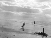 Mother and daughter looking for seashells on the beach at Sanibel-Captiva Islands - Lee County, Florida.