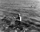 Skin divers spear fishing - Palm Beach, Florida.