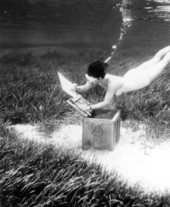 Unidentified swimmer checks out the treasure chest - Dunnellon, Florida