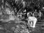 A man barbecuing chicken while people lining up to be served at the boat-a-cade - Kissimmee, Florida