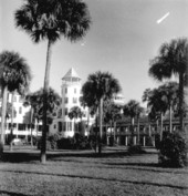 Several palm trees decorate the grounds of Hotel Ormond - Ormond Beach, Florida.
