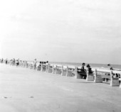 Benches overlooking the beach