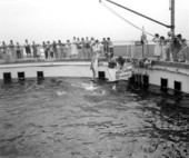 Tourists enjoying a dolphin show at Gulfarium - Fort Walton Beach, Florida