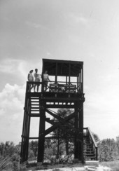 Visitors standing on a birdwatching tower at the Sanibel National Wildlife Refuge - Sanibel Island, Florida.