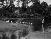 Vikke Sansone watches the flamingos at Caribbean Gardens - Naples, Florida