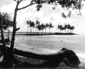 Matheson Hammock County Park beach - Miami, Florida.