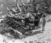 Arthur McKee and sightseers outside the McKee's Museum of Sunken Treasure - Plantation Key, Florida