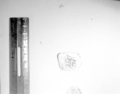 Two escudo gold pieces on display at McKee's Museum of Sunken Treasure - Plantation Key, Florida