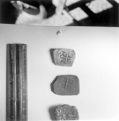 Pieces of eight on display at McKee's Museum of Sunken Treasure - Plantation Key, Florida