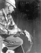 Floyd Miller reeling in a chipola bass - Marianna Region, Florida