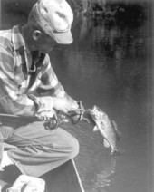 Floyd Miller unhooking his chipola bass catch - Marianna Region, Florida