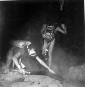 Divers inspect bones in the spring - Wakulla Springs, Florida