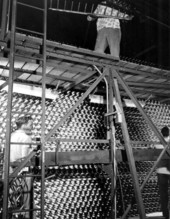 Employees working at the American Can Company in Tampa, Florida.