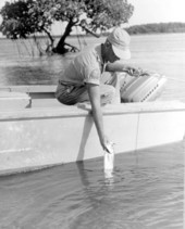 Reeling in a redfish at Ten Thousand Islands