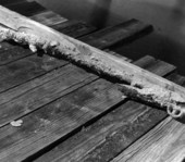 A coral encrusted flintlock barrel on display at McKee's Museum of Sunken Treasure - Plantation Key, Florida
