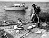 Spear fishing scuba divers with their fresh catches - Pensacola, Florida.