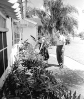 Woman working in the garden of the McColley home - Orlando, Florida.