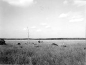 Scenic view of Corkscrew Swamp Sanctuary - Immokalee, Florida