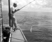 A fisherman in the charter boat reeling in a king mackerel - Destin, Florida.