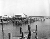 Dock - Cedar Key, Florida