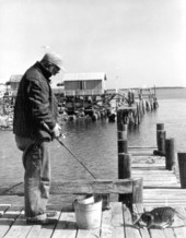 Man fishing from dock - Cedar Key, Florida