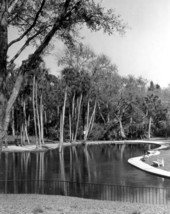 View of the springs - Sanlando Springs, Florida