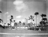 View of Busch Gardens - Tampa, Florida.