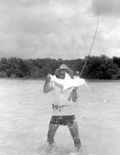 Fisherman displaying his freshly caught shark :