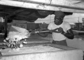 African American man fills a large ice box for a fishing trip - Marquesas Keys, Florida