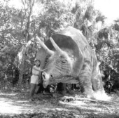 Girl with Triceratops dinosaur sculpture in Bongoland at the Dunlawton Plantation Sugar Mill Ruins - Port Orange, Florida.