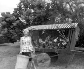 Mrs. Marion Sibbey poses with raised orchids on the cart - South Miami, Florida.