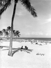 Sunbathing on the beach - Miami, Florida.