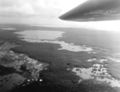 Aerial view of the Everglades