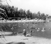 Visitors enjoy warm mineral springs - Sarasota County, Florida .