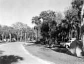 View of camping grounds at the Collier-Seminole State Park - Collier County, Florida.