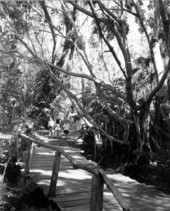 Family walking through Caribbean Gardens zoological park - Naples, Florida