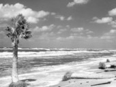 View of Gasparilla Island seashore - Boca Grande, Florida