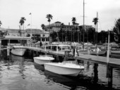 Several boats docked in Hillsborough County