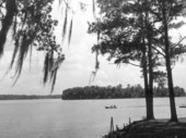 Lake Talquin - Leon County, Florida