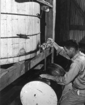 A worker fills tupelo honey into a barrel at the Whitfield Apiaries - Wewahitchka, Florida.