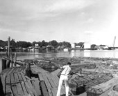 Mahogany log boom in a river port - Pensacola, Florida.