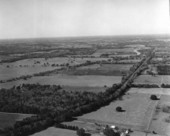 Aerial view of Gainesville.