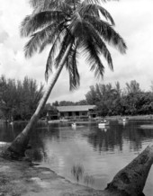 View of Greynolds park - Dade County, Florida