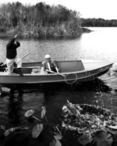 Azilee Nesmith ready to net a black bass caught by Harry Daniels at Little Lake George - Welaka, Florida.