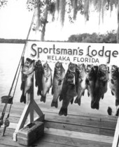 Bass caught at Little Lake George being hung from the Sportsman's Lodge sign - Welaka, Florida.