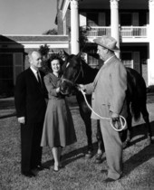 Governor and Mrs. Bryant at the mansion accepting a horse - Tallahassee, Florida.