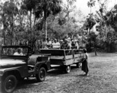 Park Botanist Miss Carol Beck lecturing to visitors during tour - Highlands Hammock State Park, Florida.
