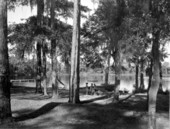Picnicking at Silver Lake - Leon County, Florida .