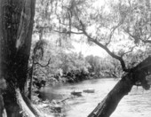 Two small boats drifting along the Suwannee River